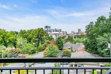 95 Dr. David C. Francis Street Greenville SC 29601