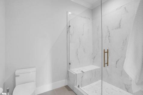 95 Dr. David C. Francis Street Greenville SC 29601