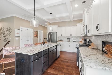9 Silkvine Court Travelers Rest SC 29690