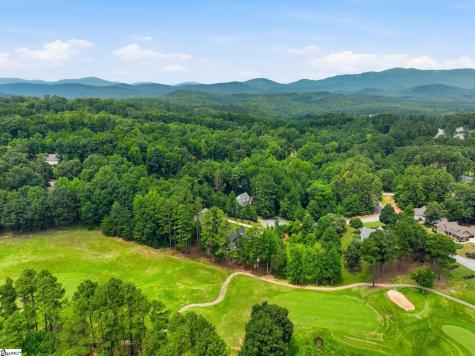 9 Silkvine Court Travelers Rest SC 29690