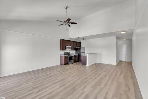 233 N Main Street Greenville SC 29601