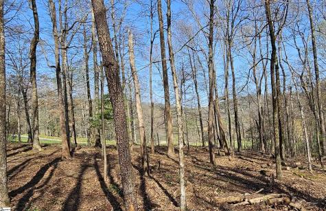 66 The Cliffs Parkway Landrum SC 29356