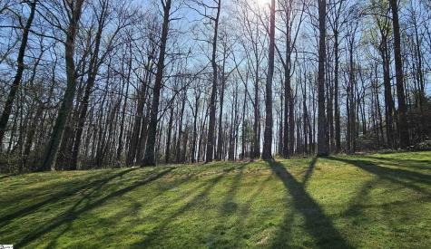 66 The Cliffs Parkway Landrum SC 29356
