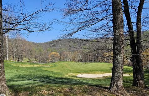66 The Cliffs Parkway Landrum SC 29356