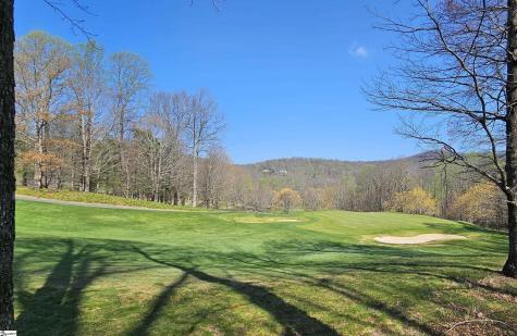 66 The Cliffs Parkway Landrum SC 29356
