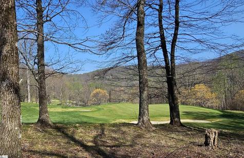 66 The Cliffs Parkway Landrum SC 29356