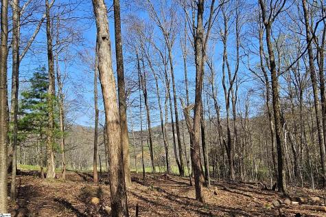 66 The Cliffs Parkway Landrum SC 29356