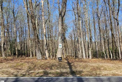 66 The Cliffs Parkway Landrum SC 29356