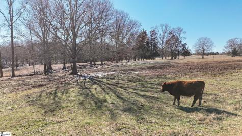414 Giggle Drive Laurens SC 29360