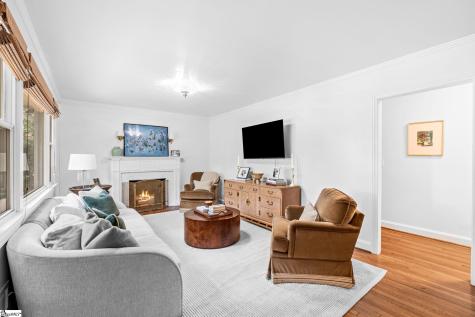 225 Scarlett Street Greenville SC 29607
