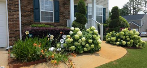 300 Bellarine Drive Greenville SC 29605