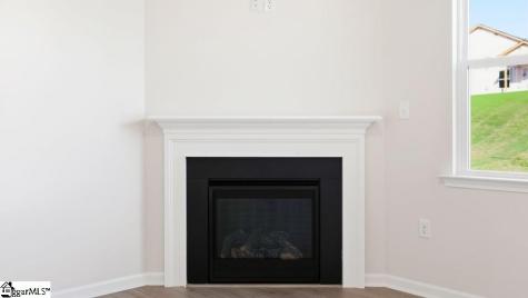 569 Landseer Drive Landrum SC 29356