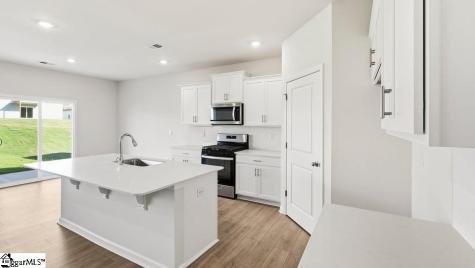 569 Landseer Drive Landrum SC 29356
