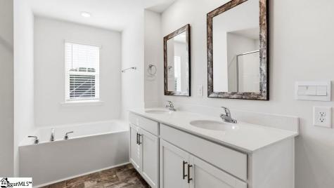 569 Landseer Drive Landrum SC 29356