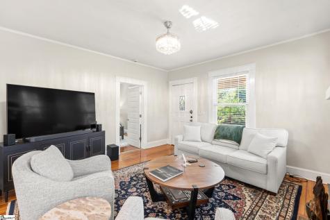 10 David Street Greenville SC 29609