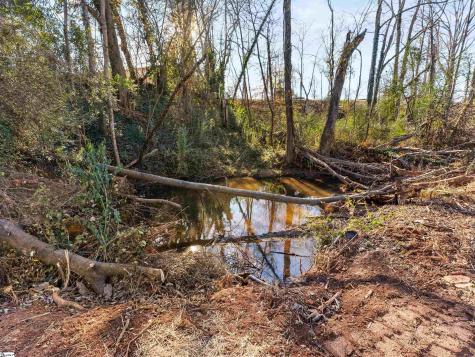 320 Carney Street Drayton SC 29333