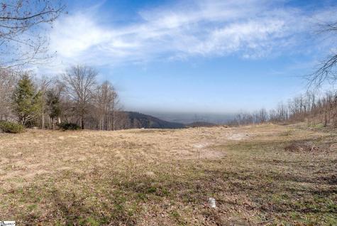 99 The Cliffs Parkway Landrum SC 29356