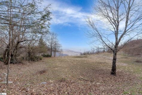 99 The Cliffs Parkway Landrum SC 29356