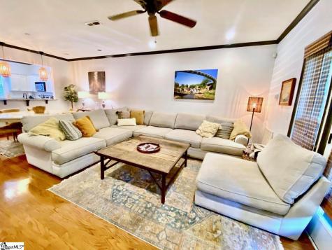 20 Howe Street Greenville SC 29601