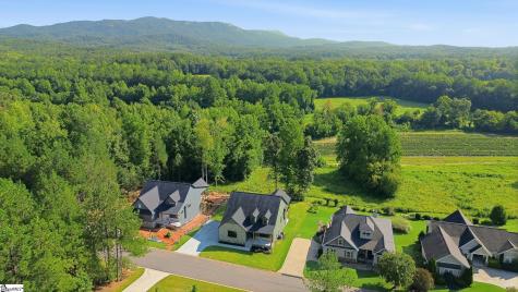 110 Wedge Way Travelers Rest SC 29690