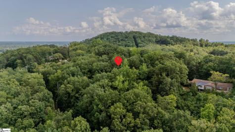 215 Hearthstone Ridge Road Landrum SC 29356