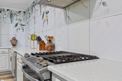 36 Heritage Drive Fountain Inn SC 29644