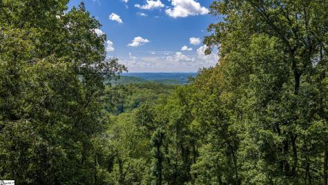 130 Raptor Way Landrum SC 29356