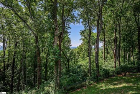130 Raptor Way Landrum SC 29356