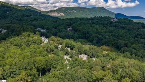 130 Raptor Way Landrum SC 29356