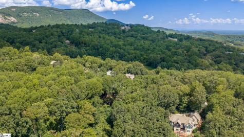 130 Raptor Way Landrum SC 29356