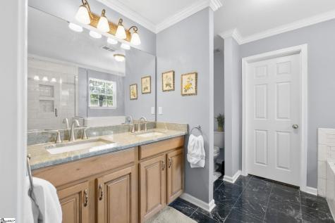 1 Wild Fern Court Travelers Rest SC 29690