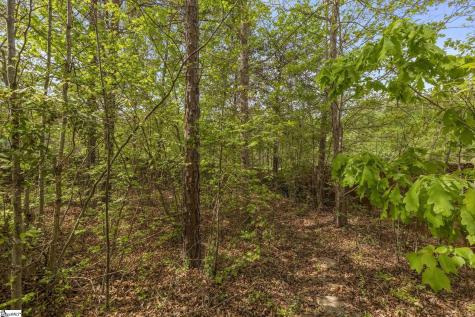 1 Wild Fern Court Travelers Rest SC 29690
