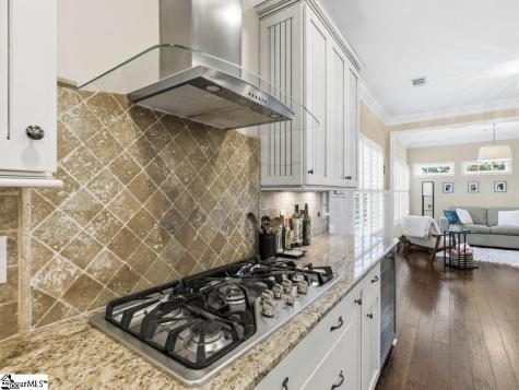 3 Firnstone Court Greenville SC 29607