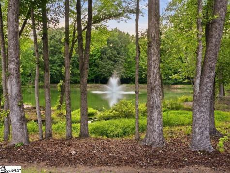 3 Firnstone Court Greenville SC 29607