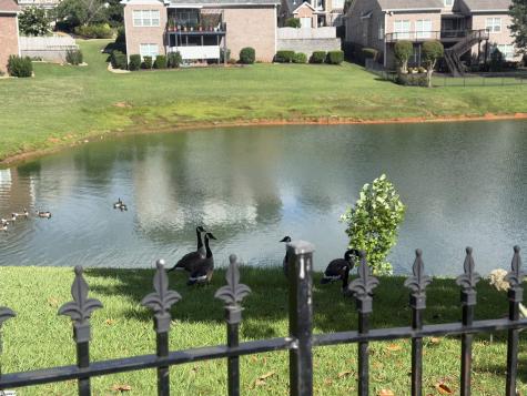 3 Garbor Court Greer SC 29650