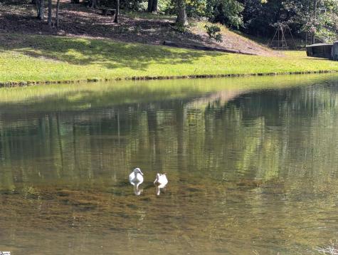 209 N Skyland Drive Cleveland SC 29635