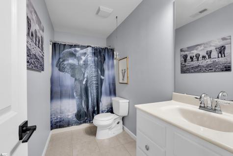 163 Healy Lane Marietta SC 29661