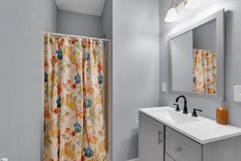 163 Healy Lane Marietta SC 29661