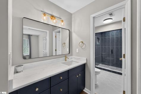 205 Cove Harbor Court Taylors SC 29687