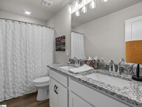 209 Broad Banyan Court Greer SC 29650