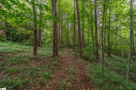 30 Tugaloo Bluff Road Travelers Rest SC 29690
