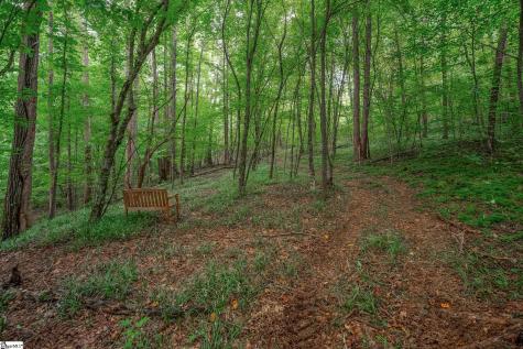 30 Tugaloo Bluff Road Travelers Rest SC 29690