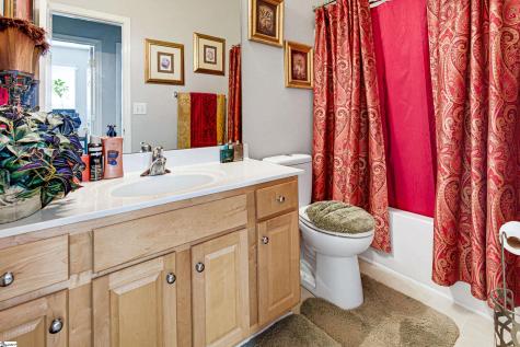 6 Tinsberry Drive Greenville SC 29607