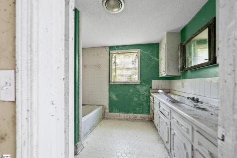 20 Alice Farr Drive Greenville SC 29617