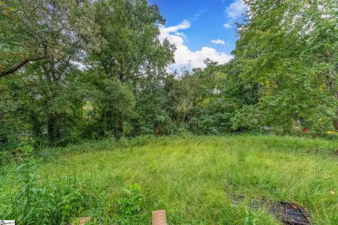 20 Alice Farr Drive Greenville SC 29617