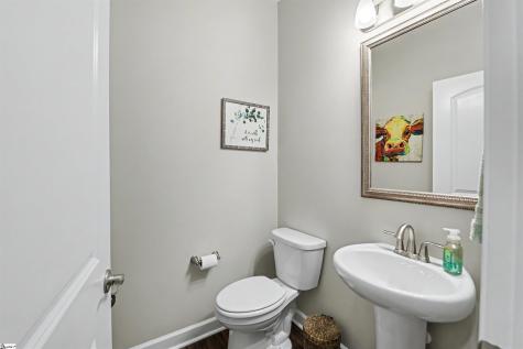 14 Guernsey Way Fountain Inn SC 29644