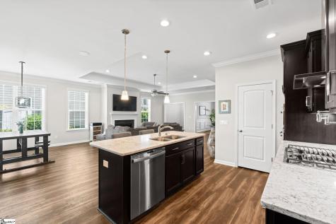 407 Blue Peak Court Greer SC 29650