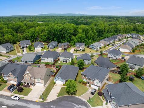 407 Blue Peak Court Greer SC 29650