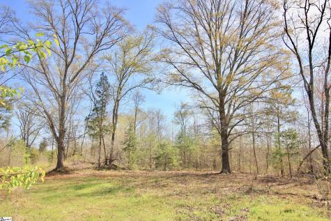 390 Old Mill Road Chesnee SC 29323