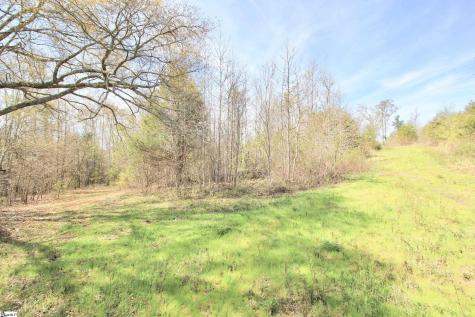 390 Old Mill Road Chesnee SC 29323